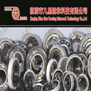 九星电绝缘轴承分为内绝缘和外绝缘轴承