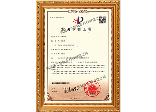 Patent for invention