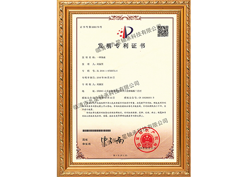 Patent for invention
